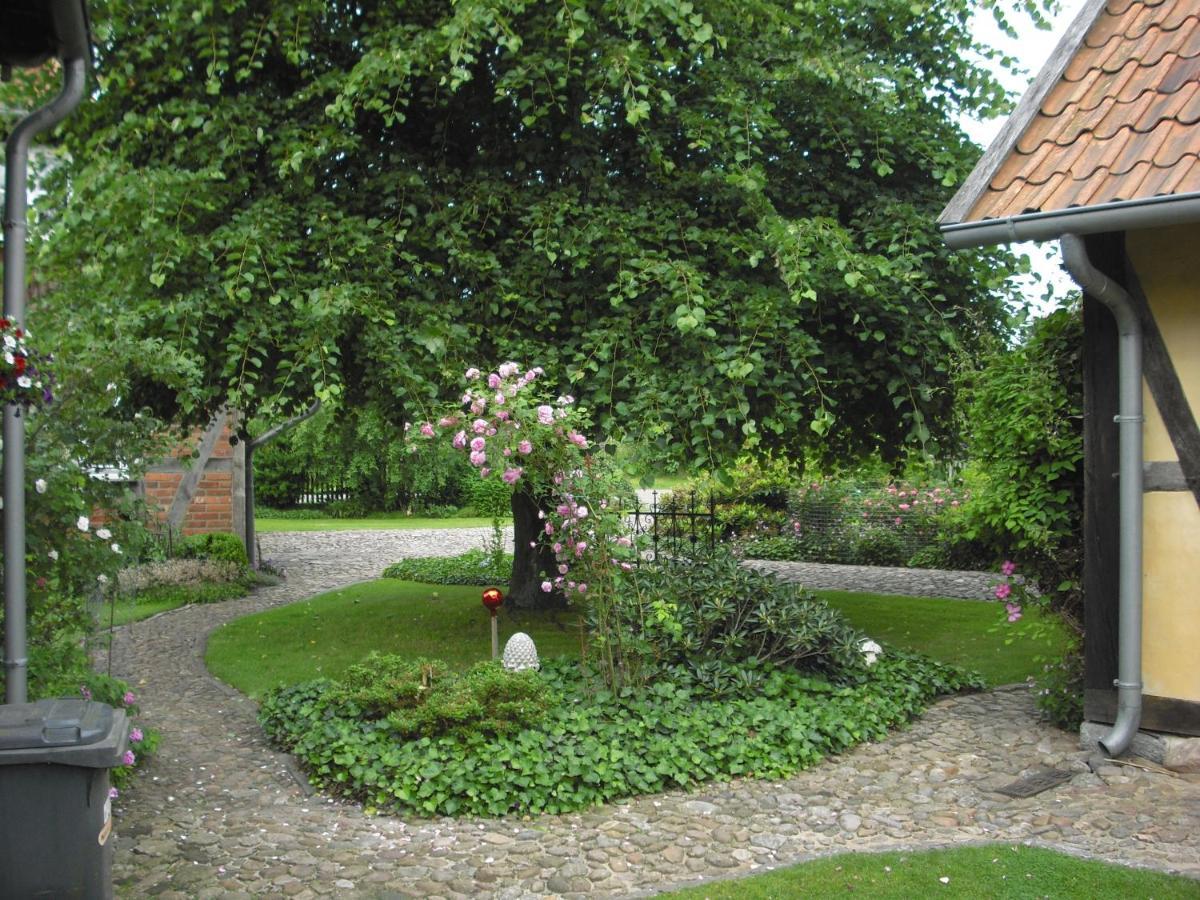 Landhaus Kiesow Suderburg Zewnętrze zdjęcie