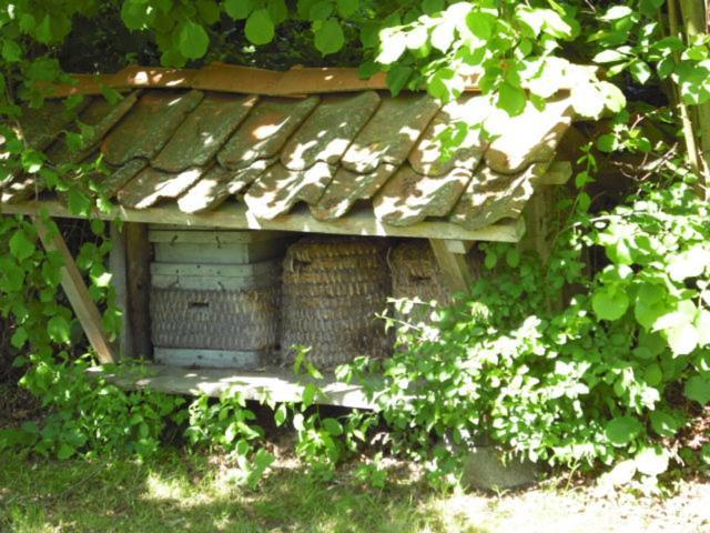 Landhaus Kiesow Suderburg Zewnętrze zdjęcie